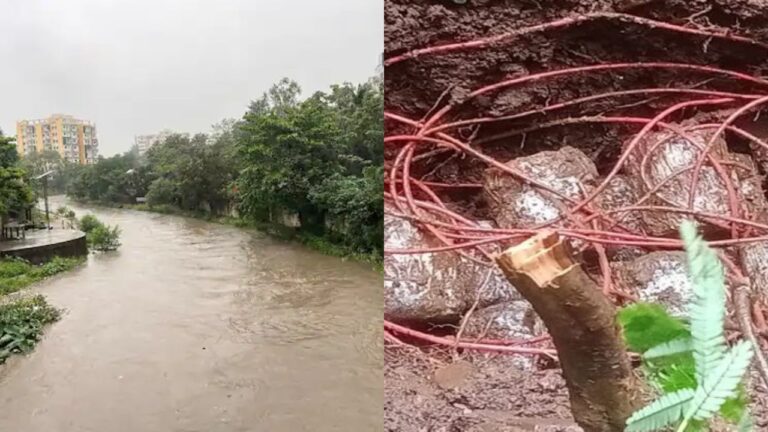 7 July Top Jharkhand News: झारखंड में लगातार जारी मूसलाधार बारिश ने कोहराम मचा रखा है। राज्य के 12 जिलों में अलर्ट जारी किया गया है। यहां पढ़ें झारखंड की बड़ी खबरें।