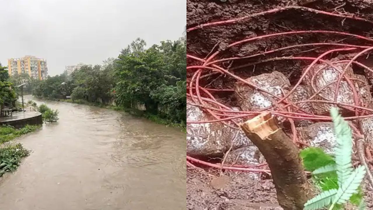 7 July Top Jharkhand News: झारखंड में लगातार जारी मूसलाधार बारिश ने कोहराम मचा रखा है। राज्य के 12 जिलों में अलर्ट जारी किया गया है। यहां पढ़ें झारखंड की बड़ी खबरें।