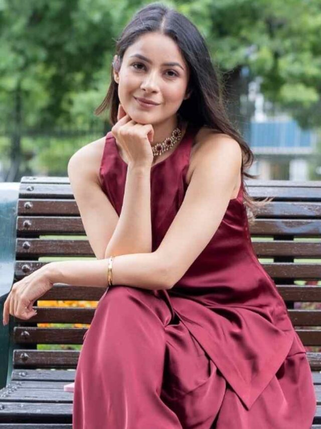 शहनाज गिल की क्यूटनेस ने जीता फैंस का दिल, देखें तस्वीरें